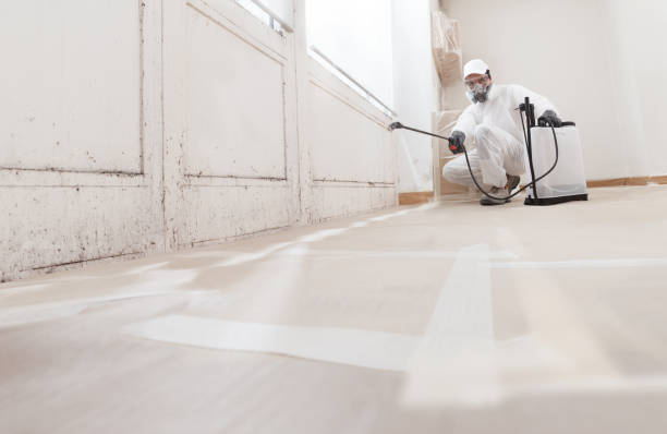 24/7 Emergency Mold Remediation experts in Melissa, TX