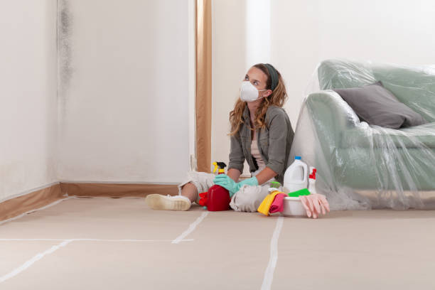 Reliable Mold Remediation contractor in Melissa, TX by Mold Remediation HQ