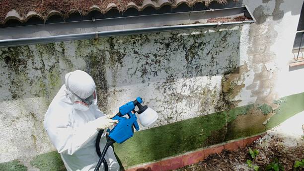 Top rated local Mold Remediation specialists in Melissa, TX